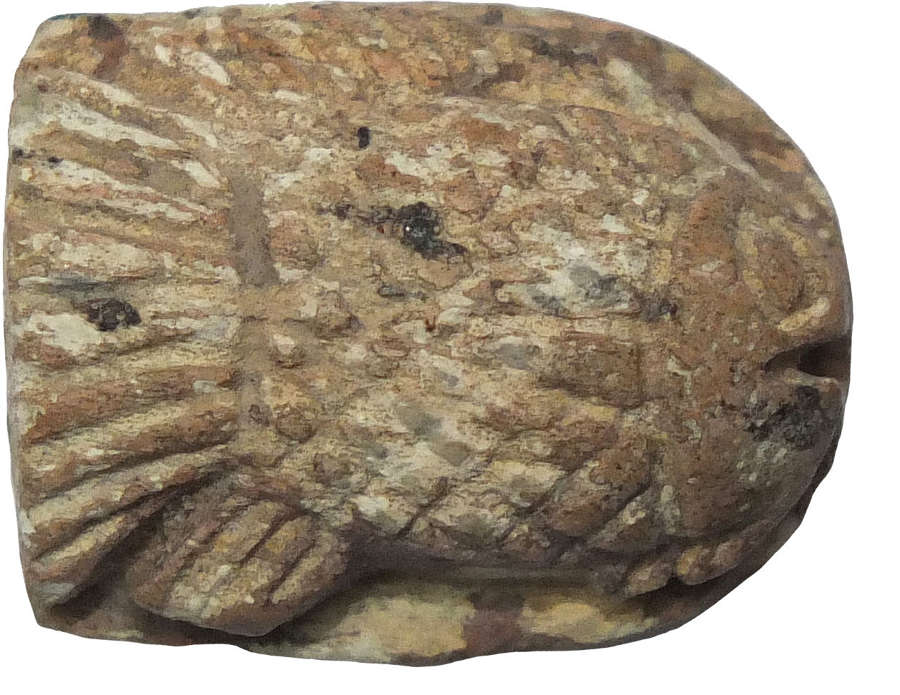 An Egyptian steatite scaraboid in the shape of a fish