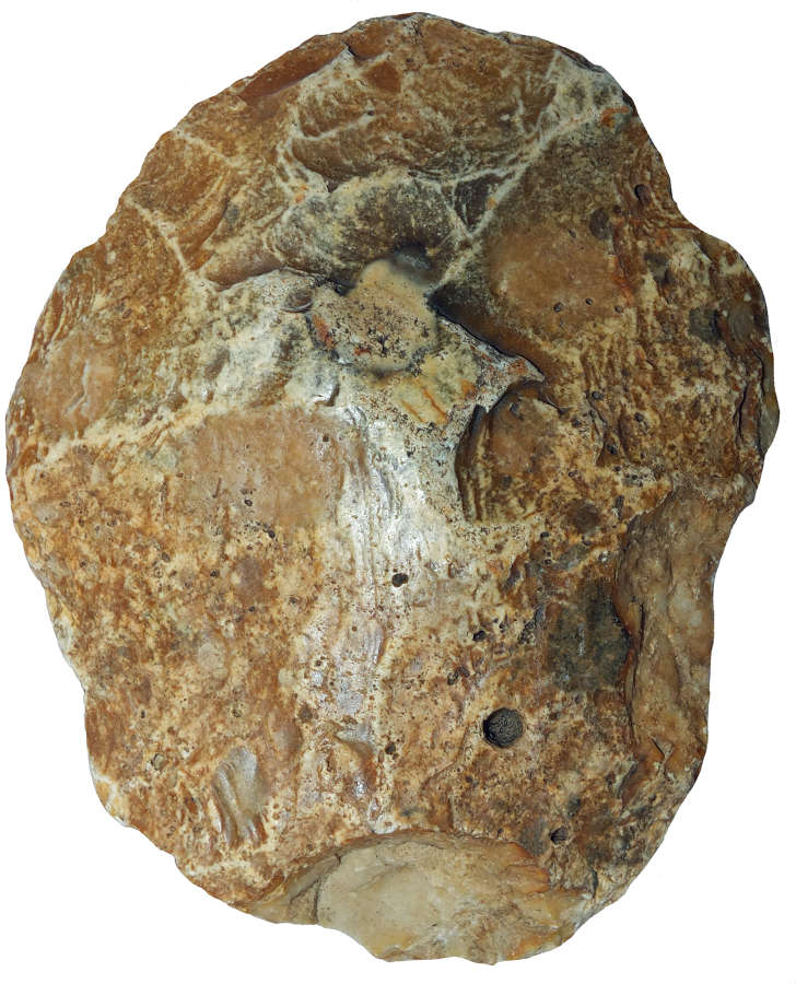 A Lower Palaeolithic flint ovate handaxe, c. 400,000 years B.P.
