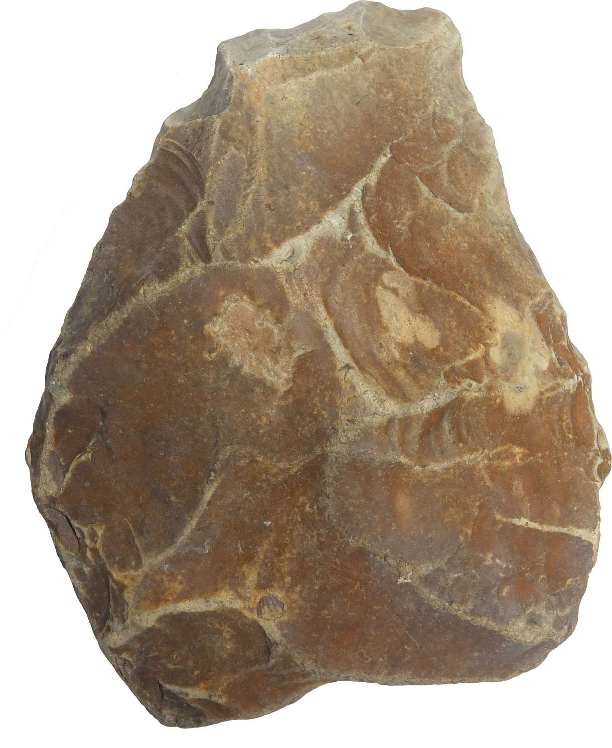 A Lower Palaeolithic Acheulian flint cleaver found in 1925