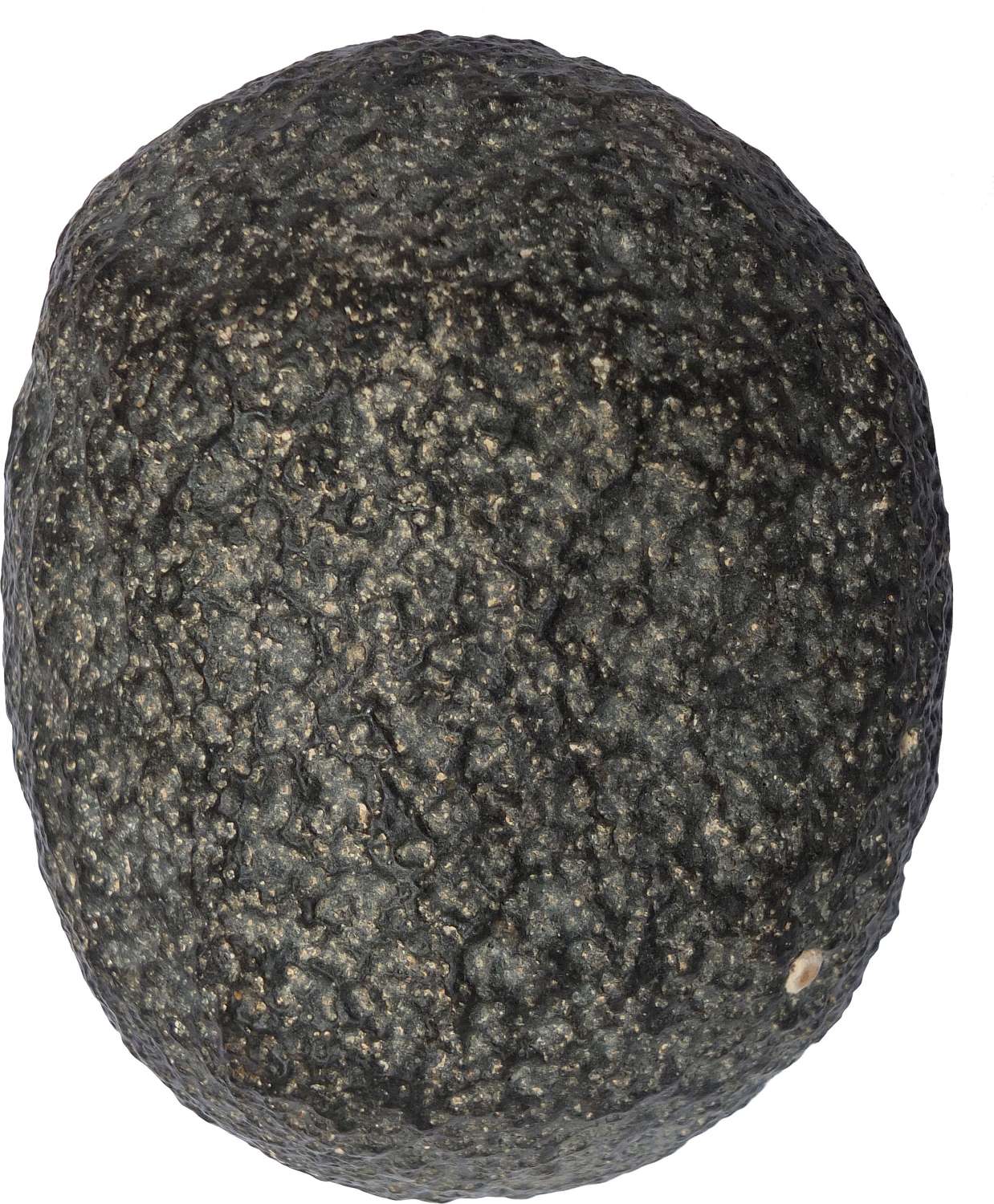 A North African Neolithic dolerite quern handstone, c. 6500-4000 B.C.