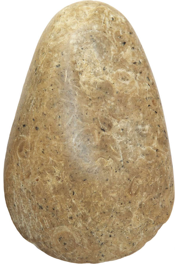 A polished limestone axehead