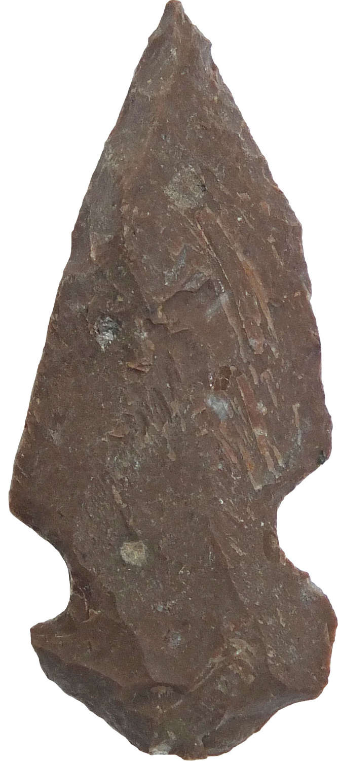A North American Indian red-brown chert arrowhead