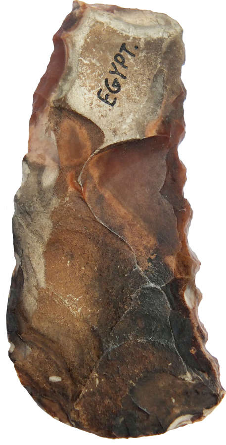 An Egyptian Neolithic to Predynastic brown flint denticulate saw