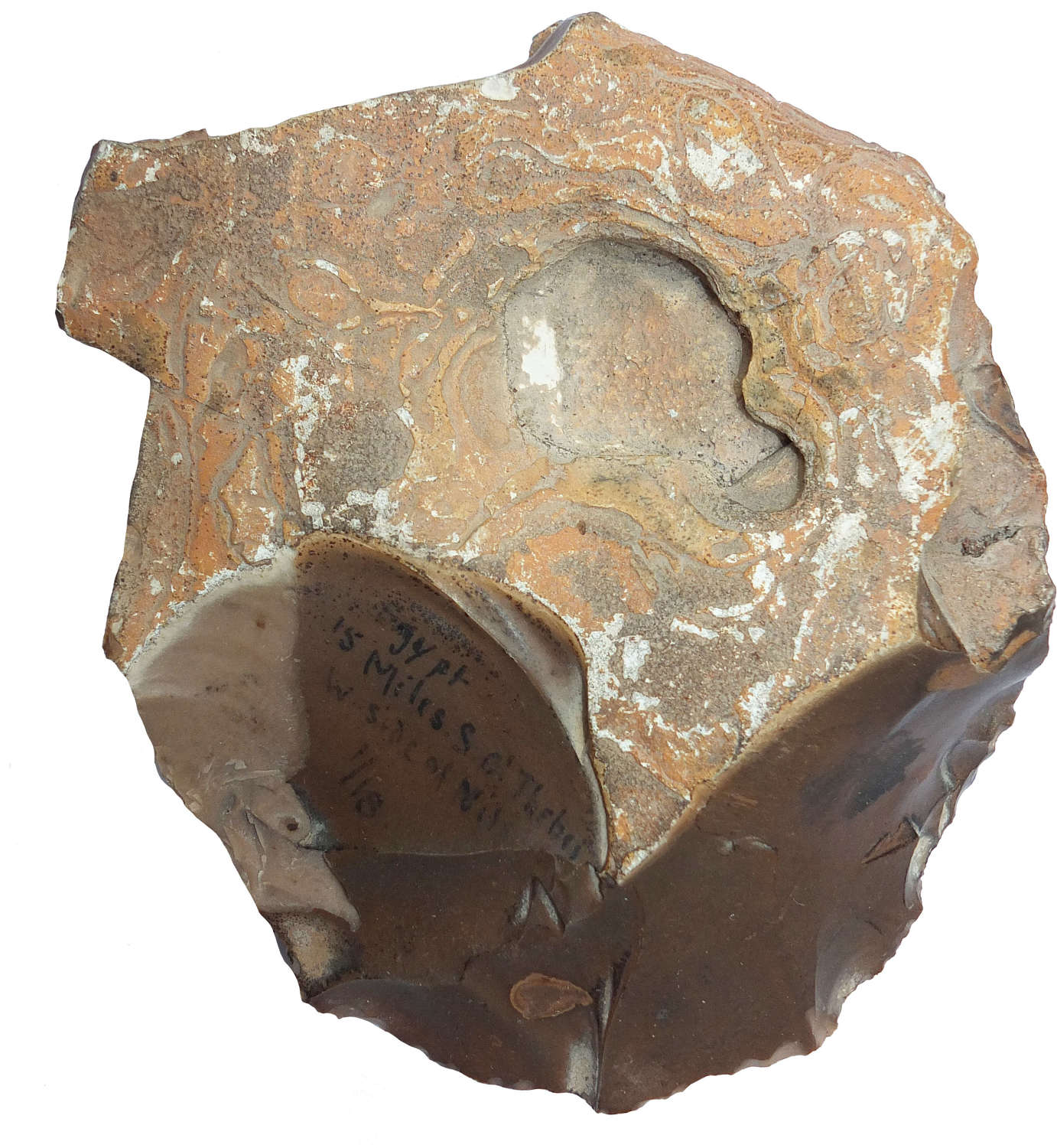 An Egyptian Palaeolithic brown chert chopper found at Thebes