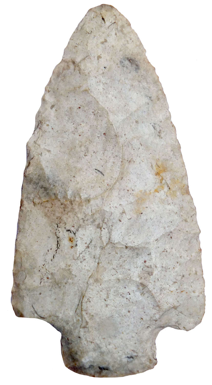 A North American Indian Archaic flint point, 8000-4500 years B.P.