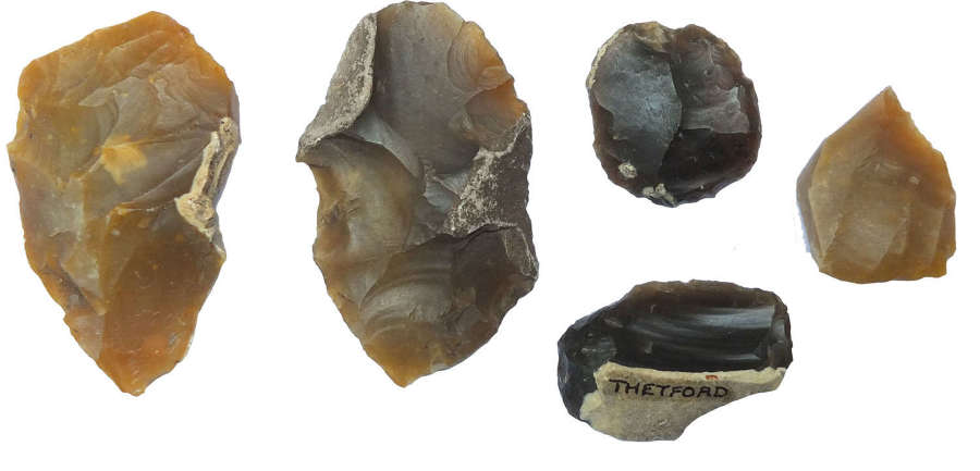 A group of five Neolithic flints from Thetford, Norfolk