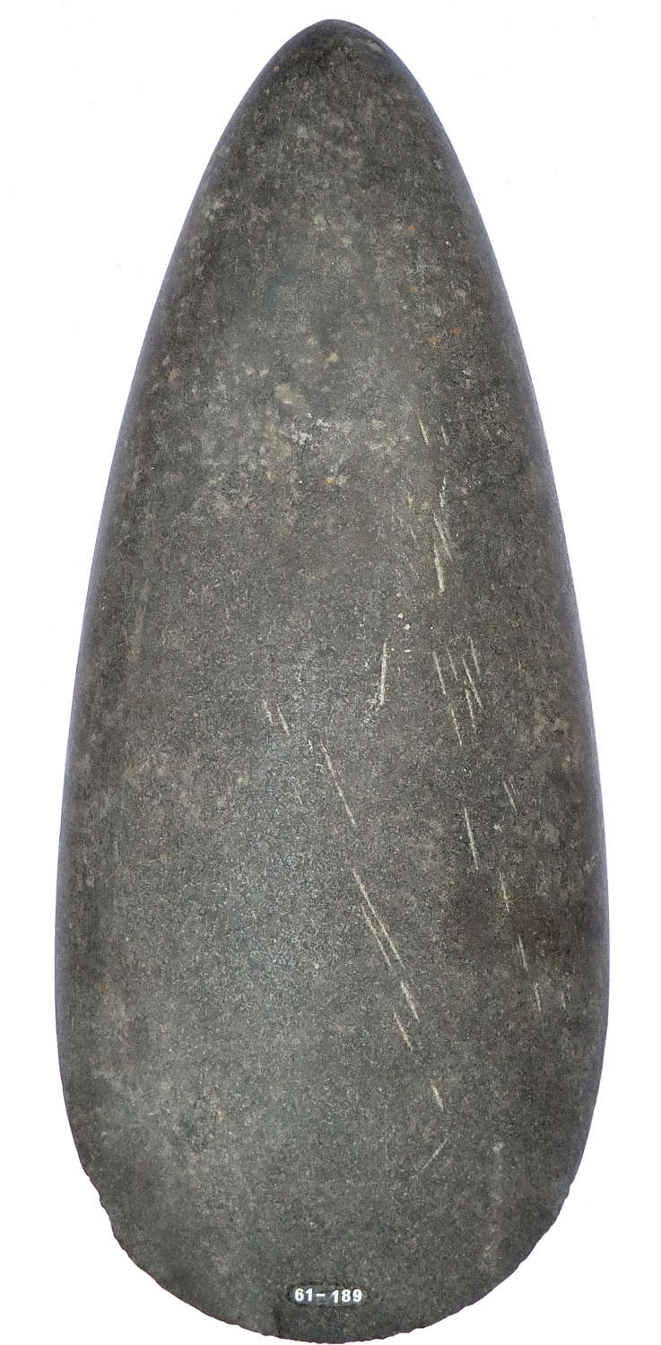 A large Carib polished greenstone petaloid axehead, West Indies