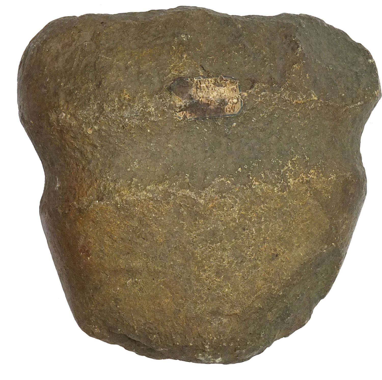 A grooved stone axe hammer presented to J.A. Phillips, F.R.S. in 1885