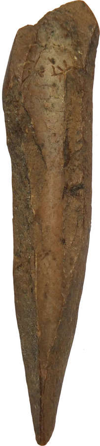 A Neolithic bone awl from the Swiss Lakes