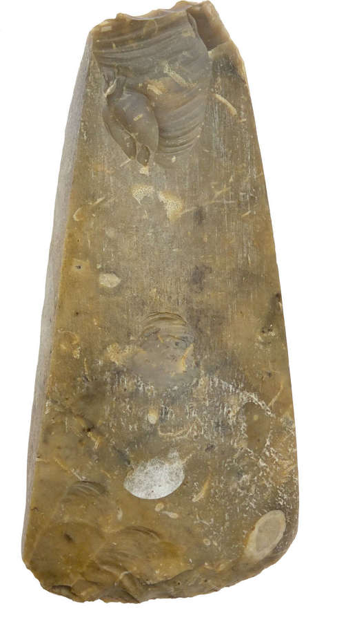 A Danish Neolithic mottled brown flint polished axehead